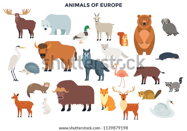 大集合可爱的有趣的野生欧洲动物和鸟类 在白色背景上隔离的可爱的卡通人物捆绑 欧洲的动物 在平面风格彩色矢量插图 库存矢量图 免版税