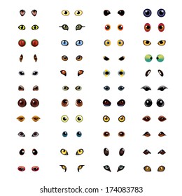 Big collection of different animal eyes in vector