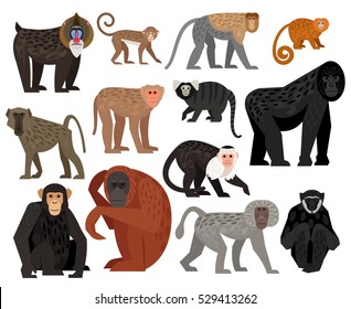 Big collection of different cute Monkeys