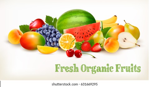 Big collection of different fresh fruit. Vector.