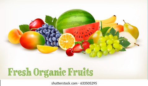 Big collection of different fresh fruit. Vector.