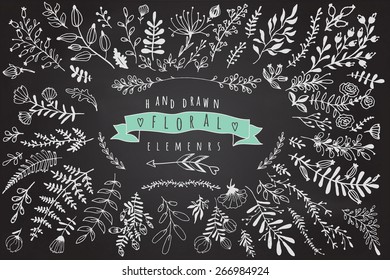 Big collection of different hand drawn floral elements on chalkboard background.