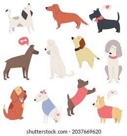 Big collection of dogs of different breeds in a modern flat style.