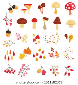 Big collection of Fall elements. Cute autumn flat mushrooms, falling leaves and berries. 