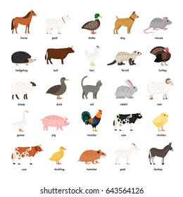 Big Collection of Farm Animals: rooster, duck, donkey, cow, bull, pig, horse, etc.