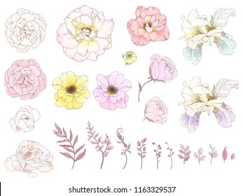 Big collection of floral elements with hand drawn outline. Vector illustration roses, fleur de lis, leaves and branches in pastel colors. Tender flowers for your design.