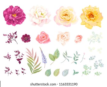 Big collection of floral elements. Vector illustration roses, leaves and branches in rustic style. Tender flowers for your template design.