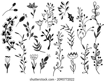 Big collection flowers, leaves, tree branches, berries. Scandinavian style. Wild Botanical elements for your design. Simple minimalistic Black white flowers. Vector illustration.