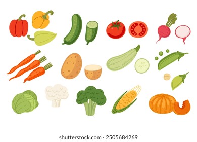 Big collection of fresh vegetables. Agriculture produce, harvest. Ripe fresh organic food. Vector illustration isolated on white background