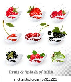 Big collection of fruit and berries in a milk splash. Raspberry, blackberry, strawberry, cherry, blackcurrant, blueberry. Vector Set 2.