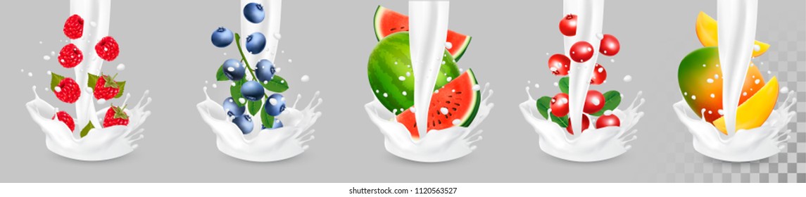  Big collection of fruit in a milk splash. Raspberry and blueberry, watermeloun, mango and granberry. Vector.