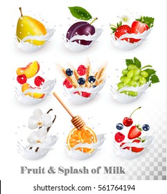 Big collection of fruit in a milk splash. Raspberry, strawberry, mango, vanilla, peach, apple, honey, orange, pear, grapes. Vector Set 4.