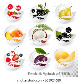 Big collection of fruit in a milk splash. Strawberry, blackberry, grandberry, plum, pear, peach, strawberry, coconut, honeydew. Vector Set 