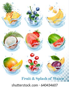 Big collection of fruit in a water splash. Pineapple, mango, banana, pear, watermelon, blueberry, guava, strawberry, coconut, grawberry, raspberry. Vector Set 