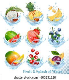 Big collection of fruit in a water splash icons. Pineapple, mango, peach, guava, blueberry, plums, strawberry, granberry, raspberry, blackberry. Vector Set 