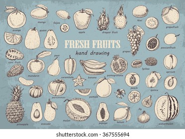 Big collection of fruits on blue background. Vector  illustration for your design