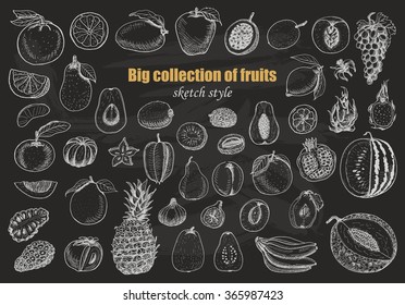 Big collection of fruits on dark background. Vector  illustration for your design