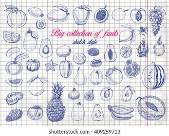 Big collection of fruits on paper. Vector  illustration for your design