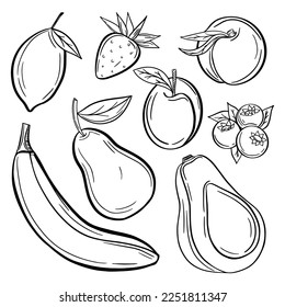 Big collection of fruits on white background. Vector illustration for your design