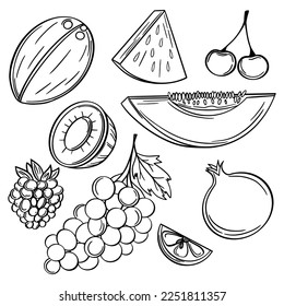 Big collection of fruits on white background. Vector illustration for your design