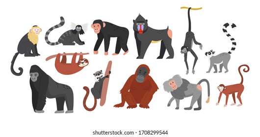 Big collection of funny cartoon different monkeys. Huge set. Vector illustration for web and design