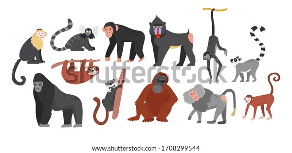 Big collection of funny\
cartoon different monkeys. Huge set. Vector illustration for web\
and design