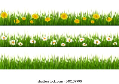 Big collection of green grass and flowers. Vector.