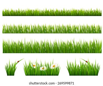 Big collection of green grass. Vector.