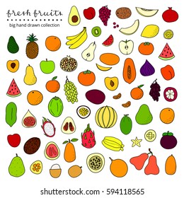Big collection of hand drawn colored popular tropical and temperate fruits isolated on white background.