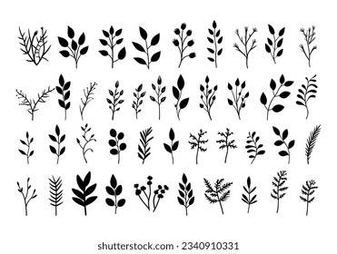 Big collection of hand drawn herbs. Vector illustration isolated on white background