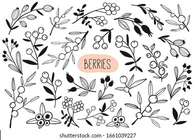 Big collection with hand drawn outline berry branches and leaves. Black and white floral vector set. Cute monochrome sketch style plants. Botany spring or summer elements for seasonal decor