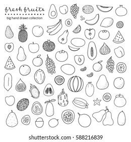 Big collection of hand drawn outline popular tropical and temperate fruits isolated on white background.