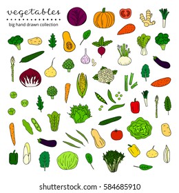 Big collection of hand drawn vegetables and leafy greens isolated on white background.