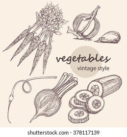 Big collection of hand-drawn vegetables, vector illustration in vintage style