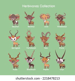 Big collection of herbivore animals with name text