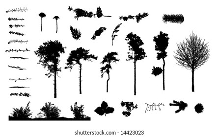 big collection of herbs trees plants nature silhouettes