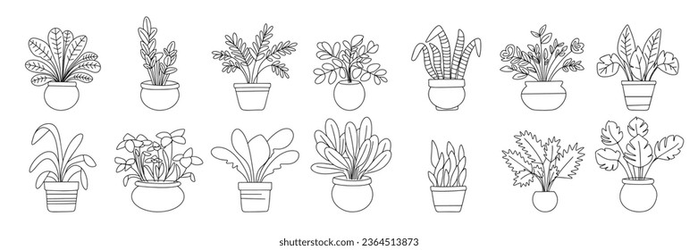 Big collection of houseplants in doodle style. Outline houseplant isolated on white background. Collection of houseplant set icons. Vector illustration.