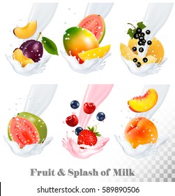 Big collection icons of fruit in a milk splash. Guava, plum, mango, blackcurrant, strawberry, cherry, blueberry, peach. Vector Set