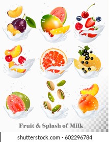 Big Collection Icons Of Fruit In A Milk Splash. Guava, Plum, Mango, Blackcurrant, Strawberry, Cherry, Blueberry, Honey, Melon, Peach. Vector Set