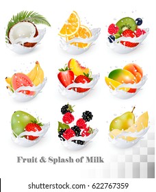 Big collection icons of fruit in a milk splash. Guava, coconut, mango, peach, strawberry, cherry, blueberry, banana, melon, orange, raspberry. Vector Set