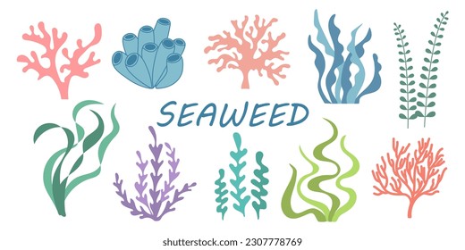 Big collection of isolated cartoon seaweeds. Set of colorful hand drawn underwater plants. Summer vector doodle illustration