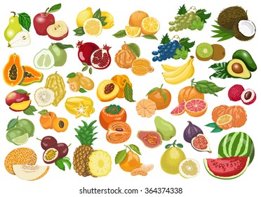 Big collection of isolated fruits on white background. Vector  illustration for your design