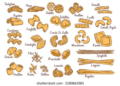 Big collection italian pasta. Different types of uncooked pasta for backgrounds, menu, stickers, cafe, restaurant, bar, shop. Set of Italian cuisine staples. Vector hand drawn style illustration.