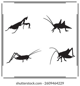 
A big collection of Katydid silhouette set, Katydid silhouette logo isolated on white background.