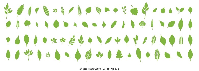 Big collection of leaves in flat style. Hand drawn vector art. 