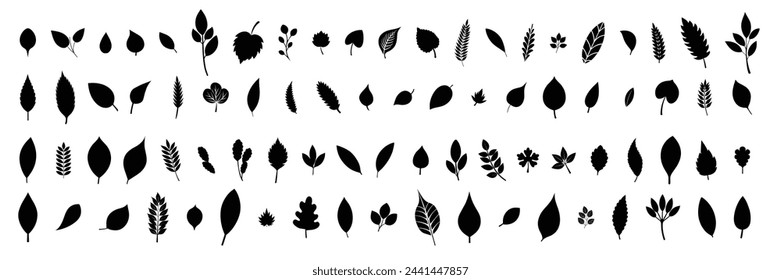 Big collection of leaves silhouettes. Hand drawn vector art.