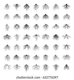 Big collection of many different
black Roots. Underground plant element. Vector outline Illustration.