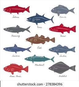 Big collection of marketable fish symbols. Vector set.