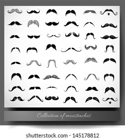 Big collection of moustaches isolated on white. Vector illustration.