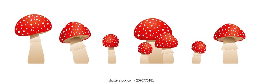 Big collection mushrooms  fly agaric. Inedible mushrooms. Vector illustration in cartoon style. isolated on white background. toadstool, amanita mushrooms.